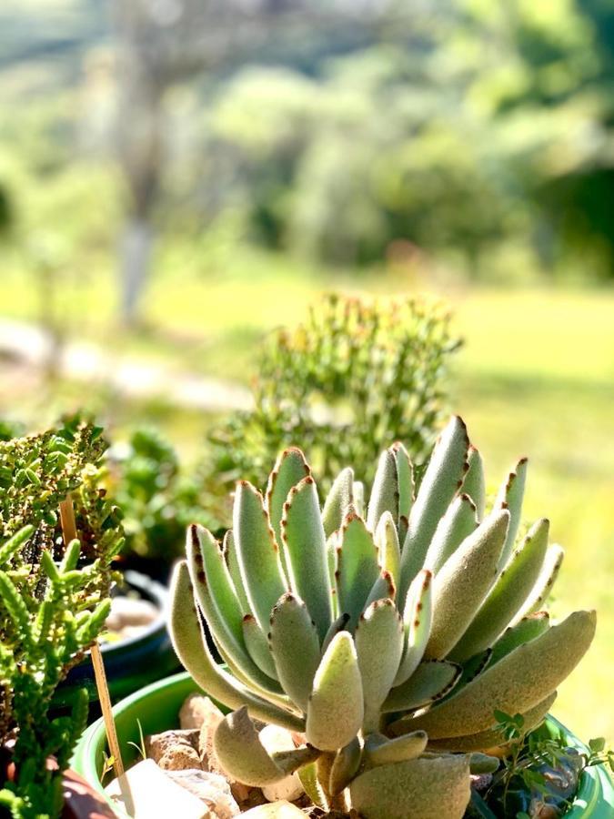 Recanto Roca Grande Cunha Kültér fotó